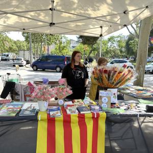 Sant Jordi a La Vinya