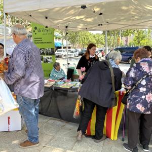 Sant Jordi a La Vinya